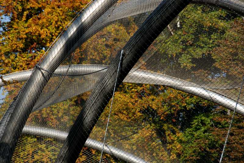 Wybieg dla dużych kotów w krakowskim Ogrodzie Zoologicznym